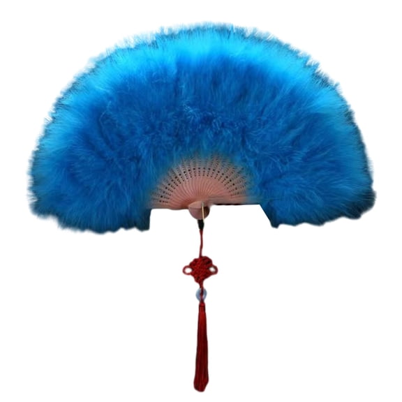 WINDLAND Women's Fan, 1920s Vintage Fans with Full Down for Wedding Fan Folding Dance Fan