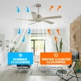 thumbnail image 1 of WINGBO  54 inch 5 ABS Blades DC Motor Indoor Ceiling Fan with Remote Control 54inch - Nickel and Wood Grain, 1 of 5
