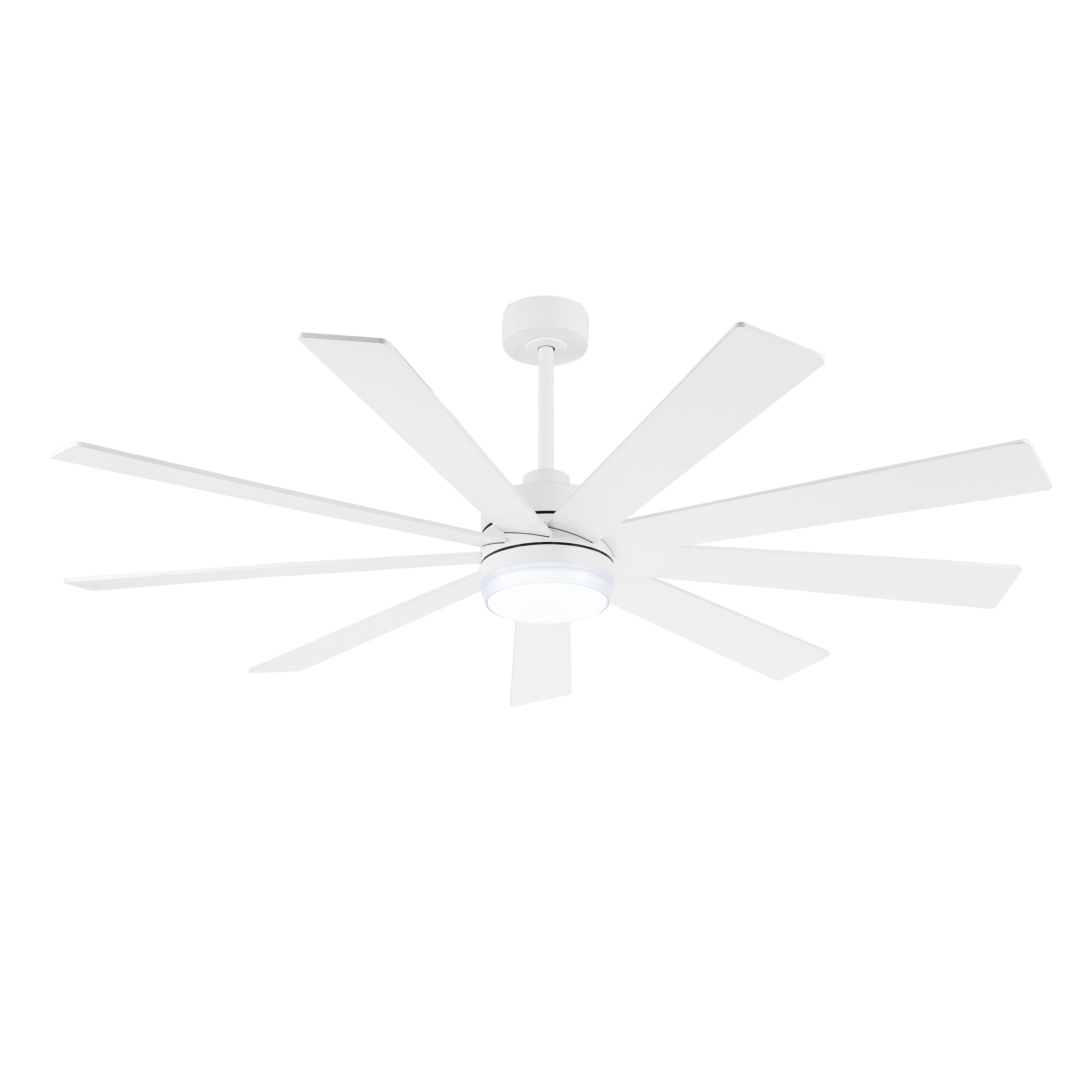 Wingbo WINGBO 84