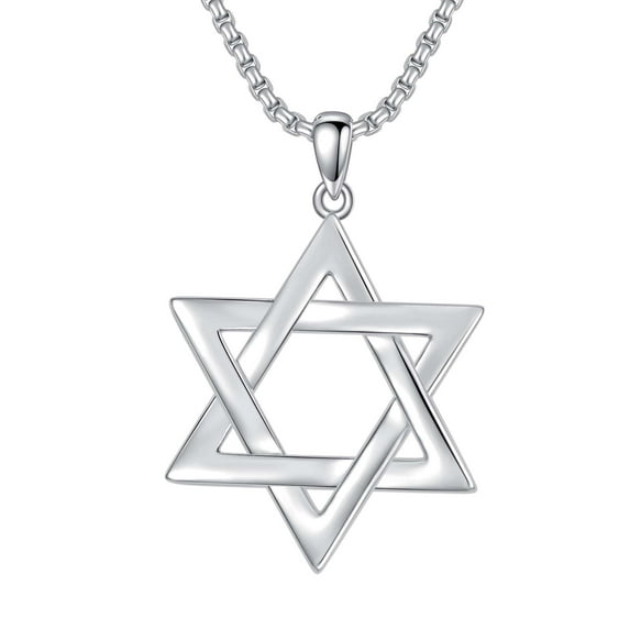 WINNICACA Classic S925 Sterling Silver Star of David Necklace Jewish Necklace with Stainless Steel Rolo Chain Israel Jewelry Birthday Anniversary Fathers Valentines Day Gifts for Men