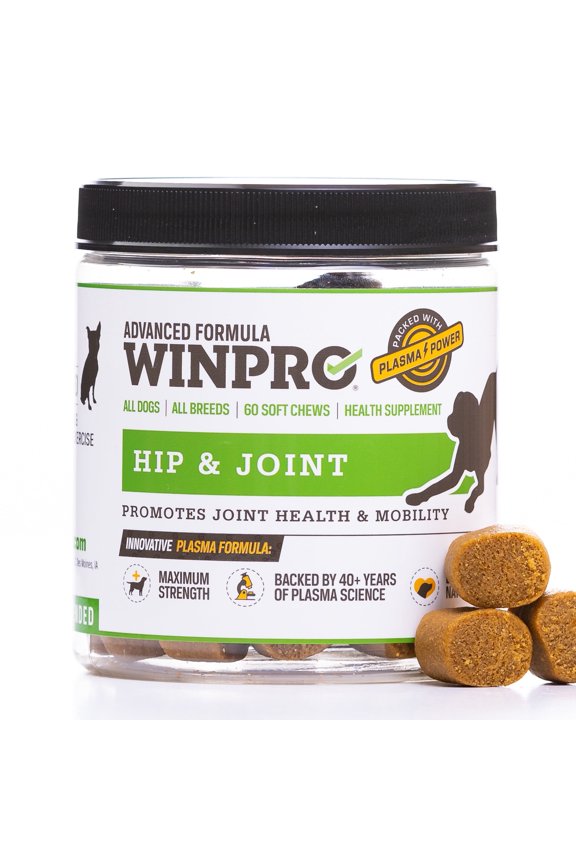 Hip & Joint Supplement for Dogs - Plasma Powered Soft Chews for Joint Health & Mobility Fast-Acting with Collagen & Natural Ingredients for Dogs of All Breeds 60 Chews