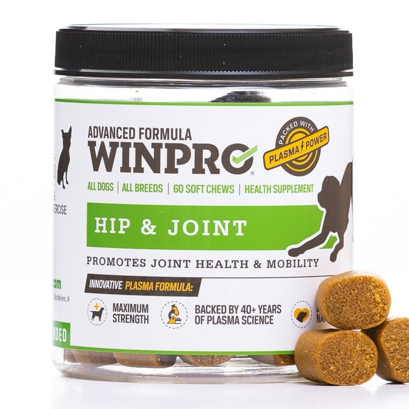 WINPRO Hip & Joint Supplement for Dogs - Plasma Powered Soft Chews for Joint Health & Mobility Fast-Acting with Collagen & Natural Ingredients for Dogs of All Breeds 60 Chews