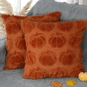 WIOMEASK Pumpkin Fall Decorative Throw Pillow Cover 20"x20", Set of 2 Orange Soft Faux Fur Pillow Cover for Fall Harvest, Fluffy Plush Decorative Pillow Cover