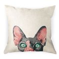 thumbnail image 1 of WIRESTER 18x18 inch Square Decorative Throw Sofa Pillow Cases, Sphynx Kitten Cat, 1 of 7