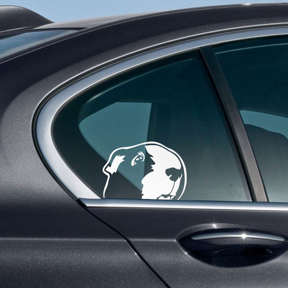 INDIGOS UG Adesivo per Auto - JDM Die Cut Auto OEM - Nulla è per l'eternità - 130 x 110 mm Nero - Auto Laptop Tuning Sticker Adesivo per lunotto Posteriore Camion