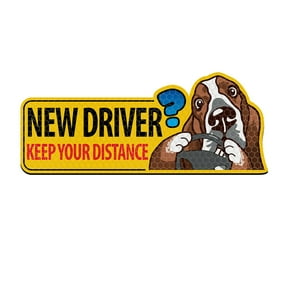 WIRESTER Caution New Driver Removable and Reusable Car Magnet Sticker Sign Reflective Vehicle Safety Sign for Student Drivers, 9.3 x 3.8" - New Driver Basset Hound Dog