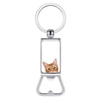 thumbnail image 1 of WIRESTER Household Kitchen Tools Keychains Metal Bottle Opener With Key Ring - Animal Orange Tabby Kitten Cat, 1 of 6