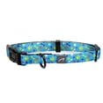 thumbnail image 1 of WIRESTER Reflective Dog Collar for Small/Medium Dogs with Buckle, Paws And Bones Blue, 1 of 4