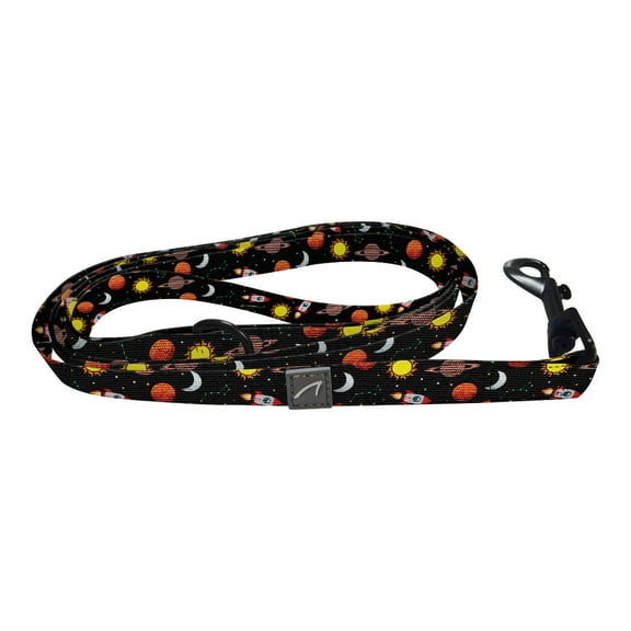 WIRESTER Reflective Pet Leash for Small Dogs, Space Age Galaxy Black