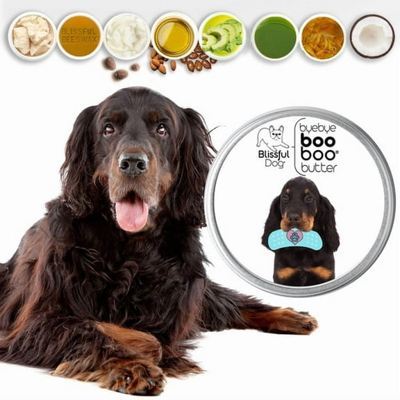 The Blissful Dog® Boo Boo Butter I All-Purpose Balm for Scratches, Scrapes and Skin Irritations I All Natural I Veterinarian Recommended I 0.50-Ounce Tube