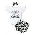 thumbnail image 1 of WISWELL  Baby Girl 1st Birthday Outfits Ruffle Sleeve Romper+Printed Bottoms Shorts+Headband Cake Smash Clothes Set 9-12 Months, 1 of 9