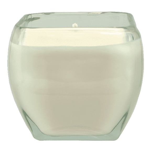 WITCHES BREW SERENITY 12-OZ. ALL NATURAL SOY CANDLE