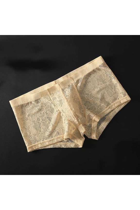 Mens Lace Boxer Briefs Underwear Bulge Pouch Lingerie Sheer Bikini See Through Shorts Underpanties