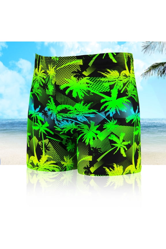 Mens Swim Trunks with Compression Liner Swim Shorts Swimwear Quick Dry Bathing Suit Beach Swimsuit