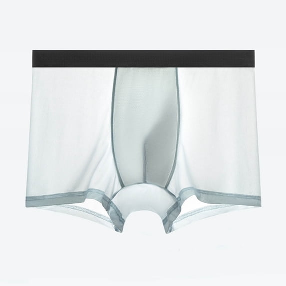 WIZUTIZ Solid Color Sheer Underwear for Men Fashion Lightweight Stretch Comfy Briefs Soft Breathable Quick Dry Boxer Shorts
