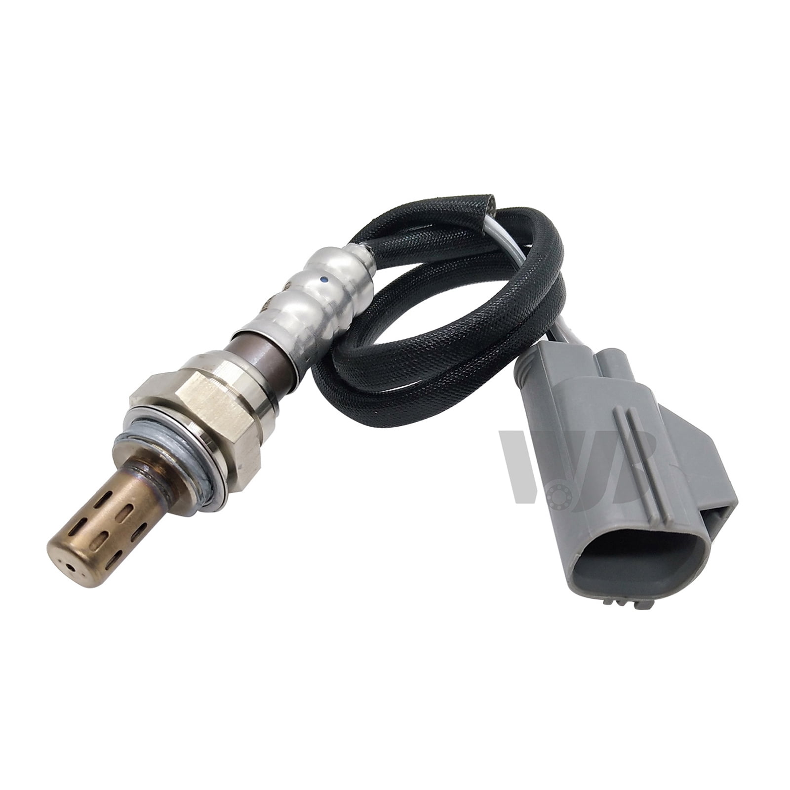 O2 Sensor Typ D-06