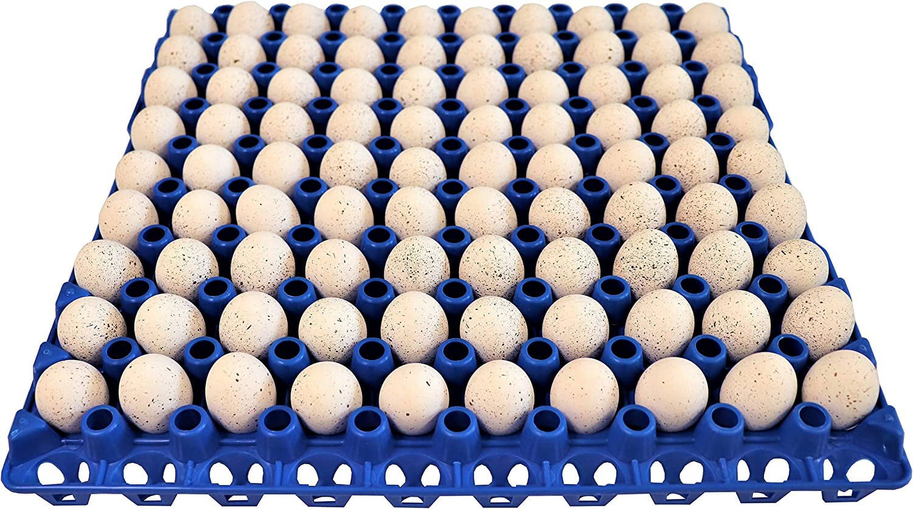 WJSP 6 Pack 90 Egg Plastic Trays 12.38x12.38x1.25in for Quail Pigeon Dove Bird Flat Carton Washable Heavy Duty