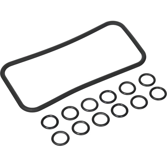 WJSP 77707-0120 Manifold O-Ring Replacement Kit Pool and Spa Heater
