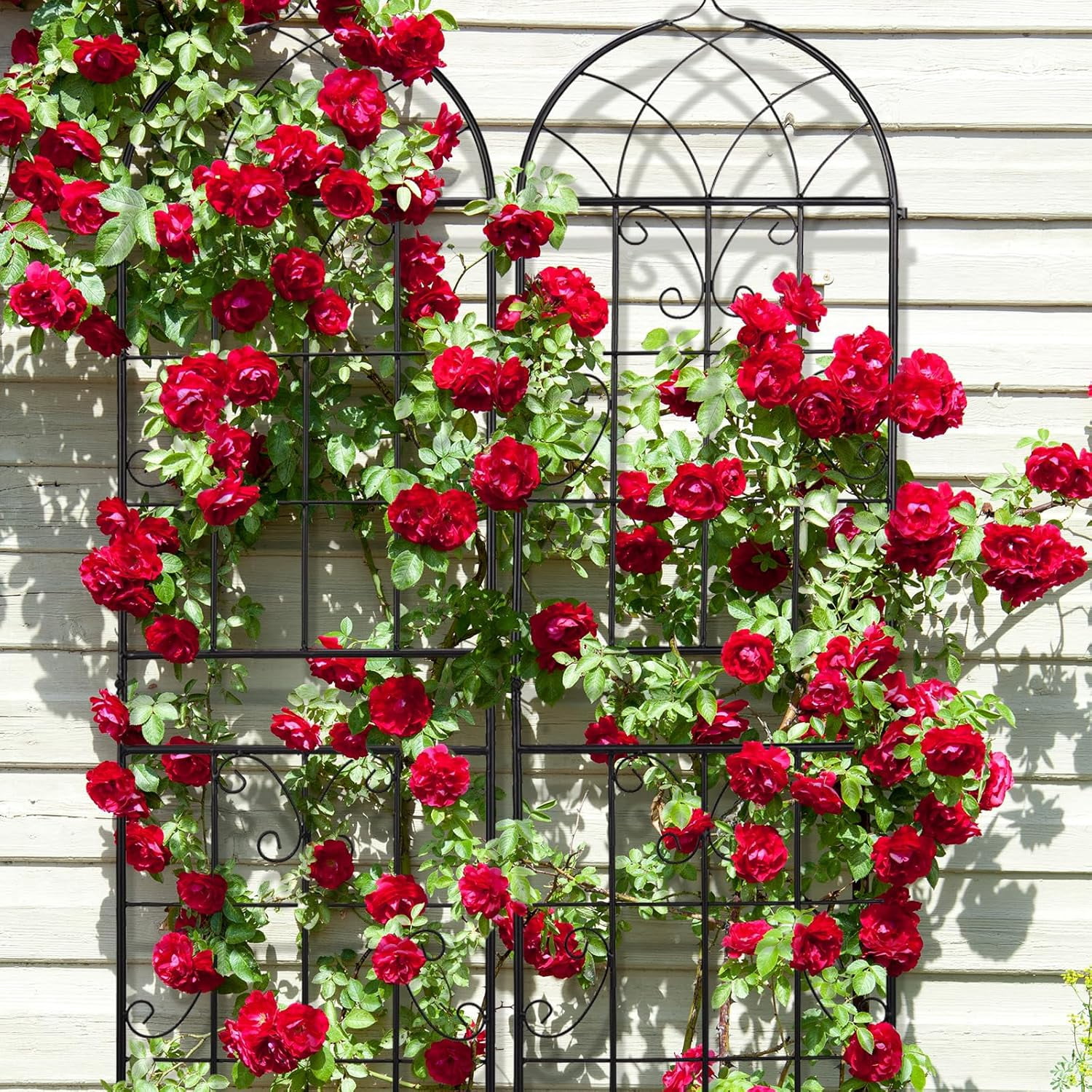 WJSP Garden Trellis 2 Pack Black 16"W x 61"H Metal Rust Proof for Climbing Plants Cucumber Vine Rose