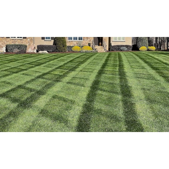 WJSP Lawn Fertilizer 20-0-10 18 lb Granules for Deep Green Grass Strong Roots Drought Recovery