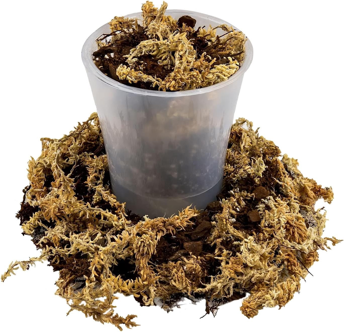 WJSP Premium Orchid Mix 10 Quart Fern Pine Bark Sphagnum Moss Perlite for Growing Repotting Orchids