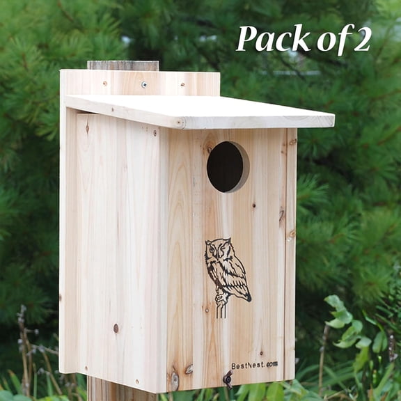 WJSP Premium Screech Owl Kestrel House Tan 12.5x11x18in 3 Entry Wood Nesting Box for Small Raptors Backyard
