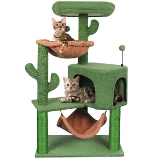 WK Cat Trees in Cats Green Walmart