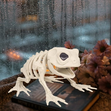 WKSCLPAI Halloween Party Decorations,Skeleton Frog,Spooky Horror Decoration,8X5.1X4.9",Perfect for Parties,Indoor & Outdoor