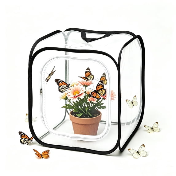 WLGJL Insect and Butterfly Habitat Cage Terrarium Pop-up 12 X 12 X 12 Inches
