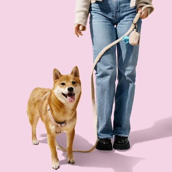 WLK1001A-4SET Teddy Small Bouclé Adjustable H Harness and Leash Walk Set with Poop Bag Pouch, Camel