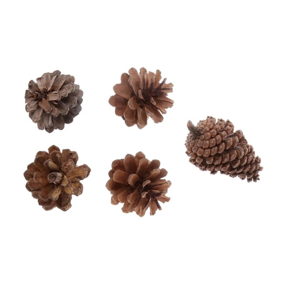 WLPZXP 5pcs Natural Pine Cones 4-7cm FOR CHRISTMAS WREATH DECORATIONS FLORAL CRAFT