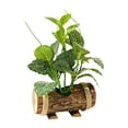 thumbnail image 1 of WLPZXP Artificial Potted Green Plants Greenery with Wooden Trunk Pot Bonsai Mini Potted Style V, 1 of 7