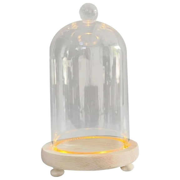 WLPZXP Clear Glass Cloche Dome Cloche Dome Decorative Flower Cover Ornament Home Office ball