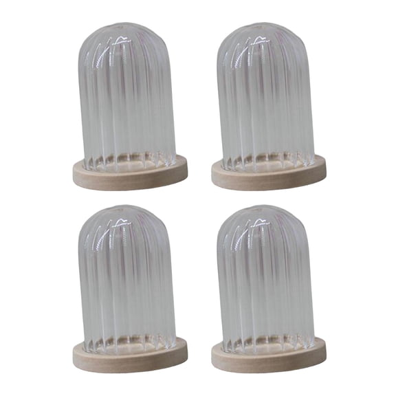 WLPZXP Clear Glass Cloche Dome Container Micro Landscape Jar Mini DIY with Base Flowers Stripe Beige