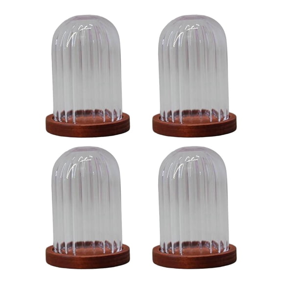 WLPZXP Clear Glass Cloche Dome Container Micro Landscape Jar Mini DIY with Base Flowers Stripe Red