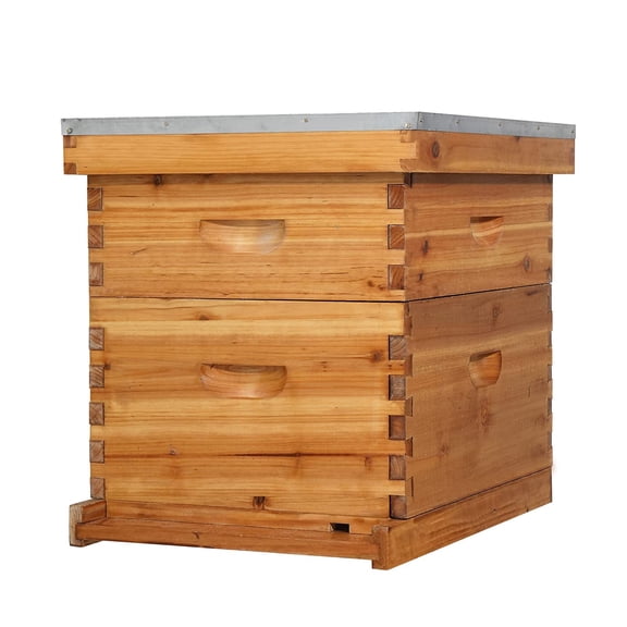 WLTER 10 Frames Beehive, Complete Beehive Kit Includes 1 Deep Boxes, 1 Medium Box, Frames and Waxed Foundations, for Yard, Field, Bee Farm (2 Layer)