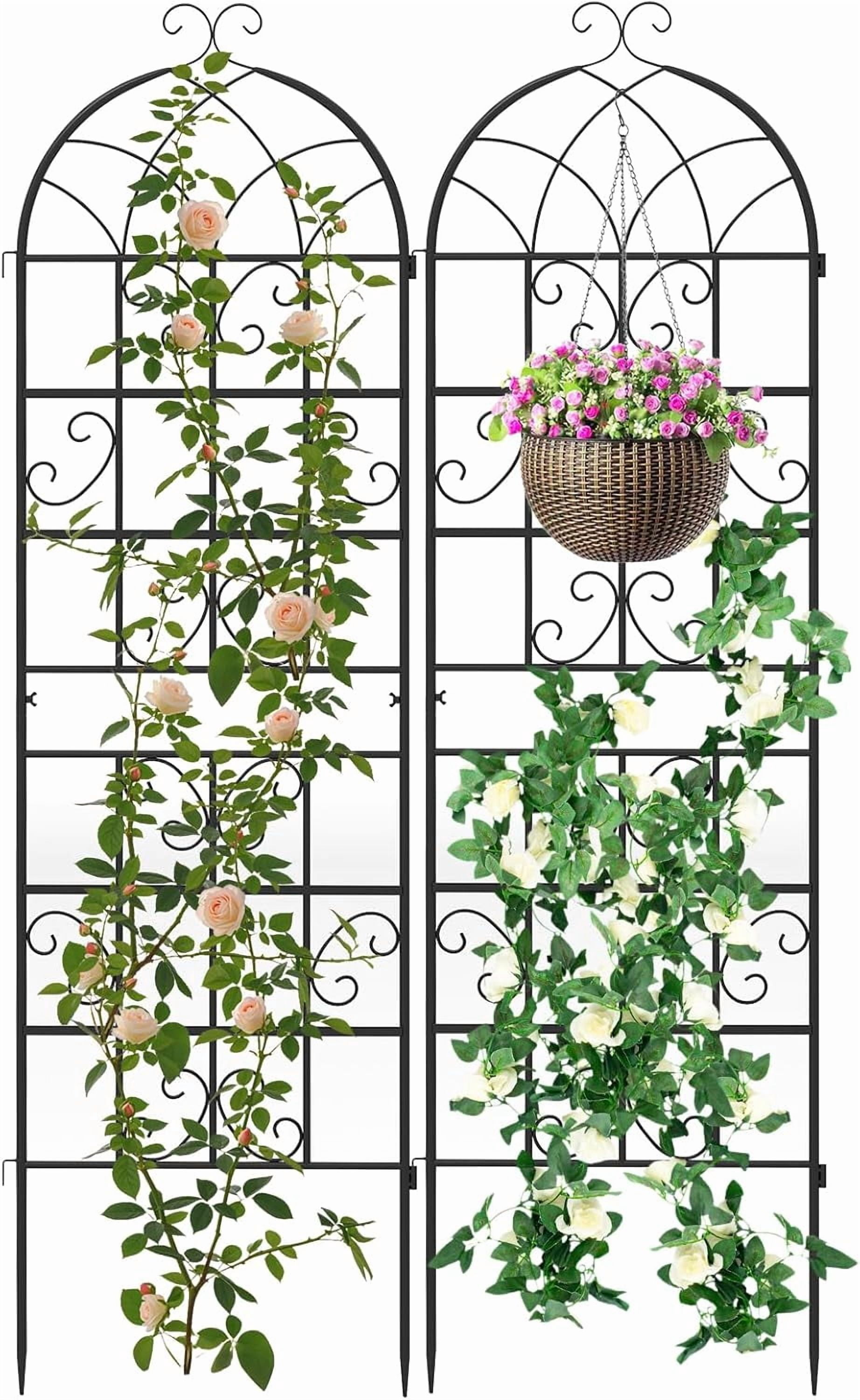 WLTER Metal Garden Trellis for Climbing Plants, 2 Pack 71" Tall Fence Trellis Panels, Retro Style Cucumber Trellis, Indoor & Outdoor Decorative Plant Support Stand for Rose Ivy Vine, Black
