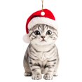 thumbnail image 1 of WMGHA 2D Realistic Cat Christmas Ornament Acrylic Lifelike Decor - Memorial Keepsake for Cat Lovers, Personalized Pet Gift for Women & Men for Xmas Tree Decorating, 1 of 8