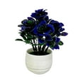 thumbnail image 1 of WMGHA Artificial Plants & Flowers in Plastic White Pot Black Roses Artificial Flowers Potted Plant Spring Decor for Centerpiece Table Decorations Home Office Desk Decor,5 Inch, 1 of 3