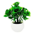 thumbnail image 1 of WMGHA Artificial Plants & Flowers in Plastic White Pot Black Roses Artificial Flowers Potted Plant Spring Decor for Centerpiece Table Decorations Home Office Desk Decor,5 Inch, 1 of 3