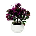 thumbnail image 1 of WMGHA Artificial Plants & Flowers in Plastic White Pot Black Roses Artificial Flowers Potted Plant Spring Decor for Centerpiece Table Decorations Home Office Desk Decor,5 Inch, 1 of 3