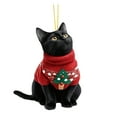 thumbnail image 1 of WMGHA Black Cat Christmas Ornaments 2026, Cat Ornaments for Christmas Tree, Cute Acrylic Pet Ornament,Black Cats Gifts for Women- Fun Holiday Decoration for Pet Owners - Unique Cat Lover Gift, 1 of 8