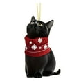 thumbnail image 1 of WMGHA Black Cat Christmas Ornaments 2026, Cat Ornaments for Christmas Tree, Cute Acrylic Pet Ornament,Black Cats Gifts for Women- Fun Holiday Decoration for Pet Owners - Unique Cat Lover Gift, 1 of 8