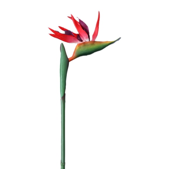 WMGHA Large Bird of Paradise 40 Inch Permanent Flower,UV Resistant No Fade Flower Part is Made of Soft Rubber PU,Artificial Flower Plants for Home Office