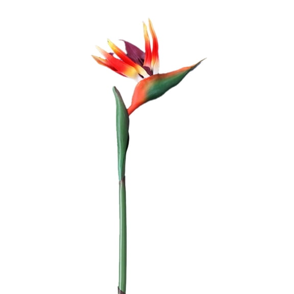 WMGHA Large Bird of Paradise 40 Inch Permanent Flower,UV Resistant No Fade Flower Part is Made of Soft Rubber PU,Artificial Flower Plants for Home Office