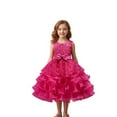 thumbnail image 1 of WMQPNNS Girls Dresses Ruffle Tiered Satin Tutu Dress Pageant Party Birthday Floral Embroidery Wedding Flower Girl Dress, Dress for Age 12-13 Years, Hot Pink, 1 of 5