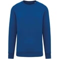 thumbnail image 1 of Native Spirit  Adult Crew Neck Sweatshirt, 1 of 3