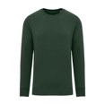 thumbnail image 1 of Native Spirit  Adult Crew Neck Sweatshirt, 1 of 4