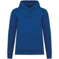 thumbnail image 1 of Native Spirit  Adult Heavyweight Hoodie, 1 of 4