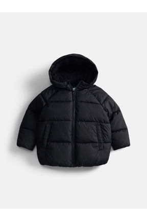 Toddler Boys Heavyweight Puffer Jacket, Sizes 12M-5T